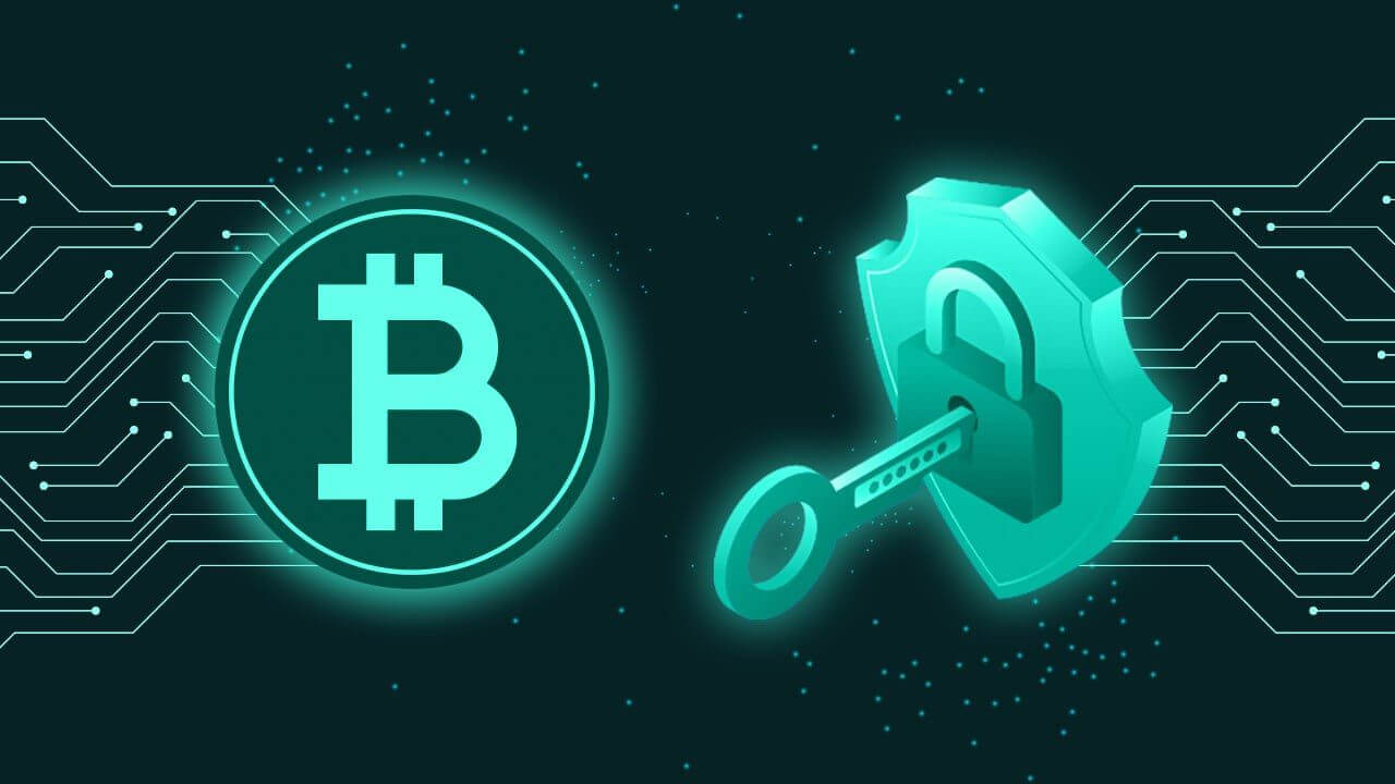 3ex exchange